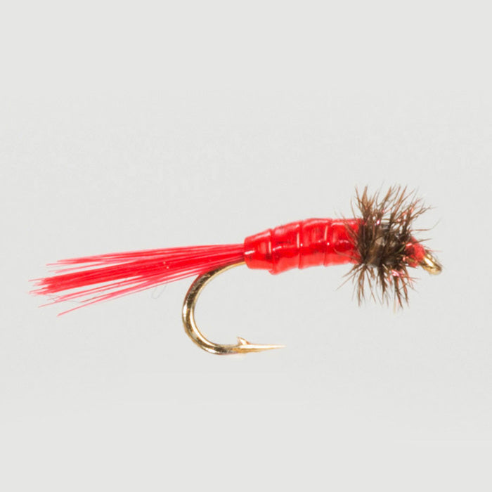 BLOODWORM MICRO