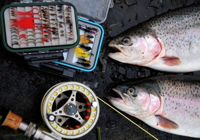 Winter Fly Fishing in Devon – Top Trout Fisheries and Fly Patterns