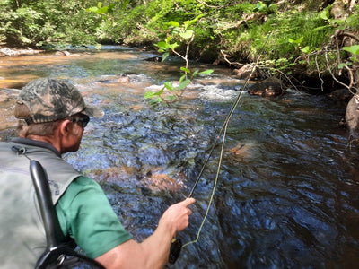 Turrall Top Tips: Super Sedges: 6 Top caddis fly patterns and fishing tips!