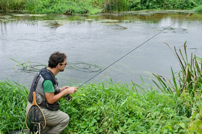 Turrall Top Tips: Chalkstream Coarse Fish on the Fly