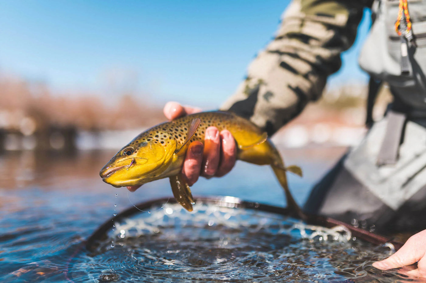 Why Fly Line Backing Matters