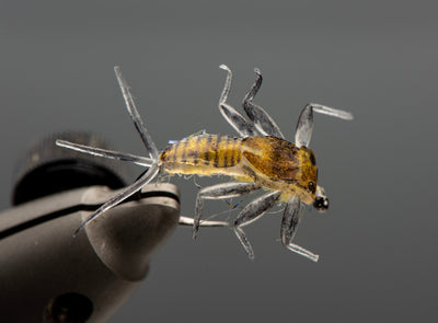 Turrall Tying Bench: Super Shellback Realistic Mayfly Nymph