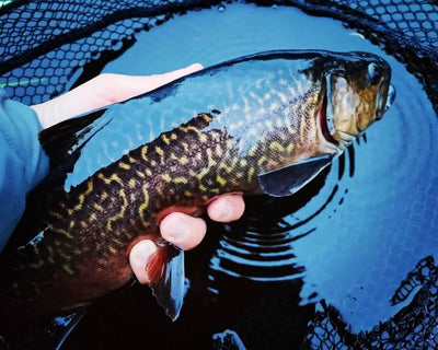 Turrall Top Tips: Fishery Spotlight - Bank House - Lancashire