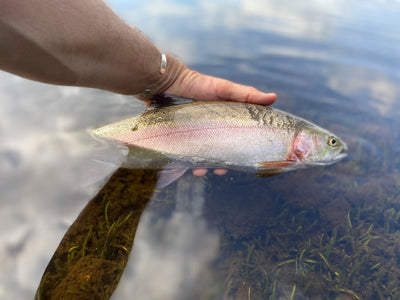 Fly Fishing in the South West Sep 23