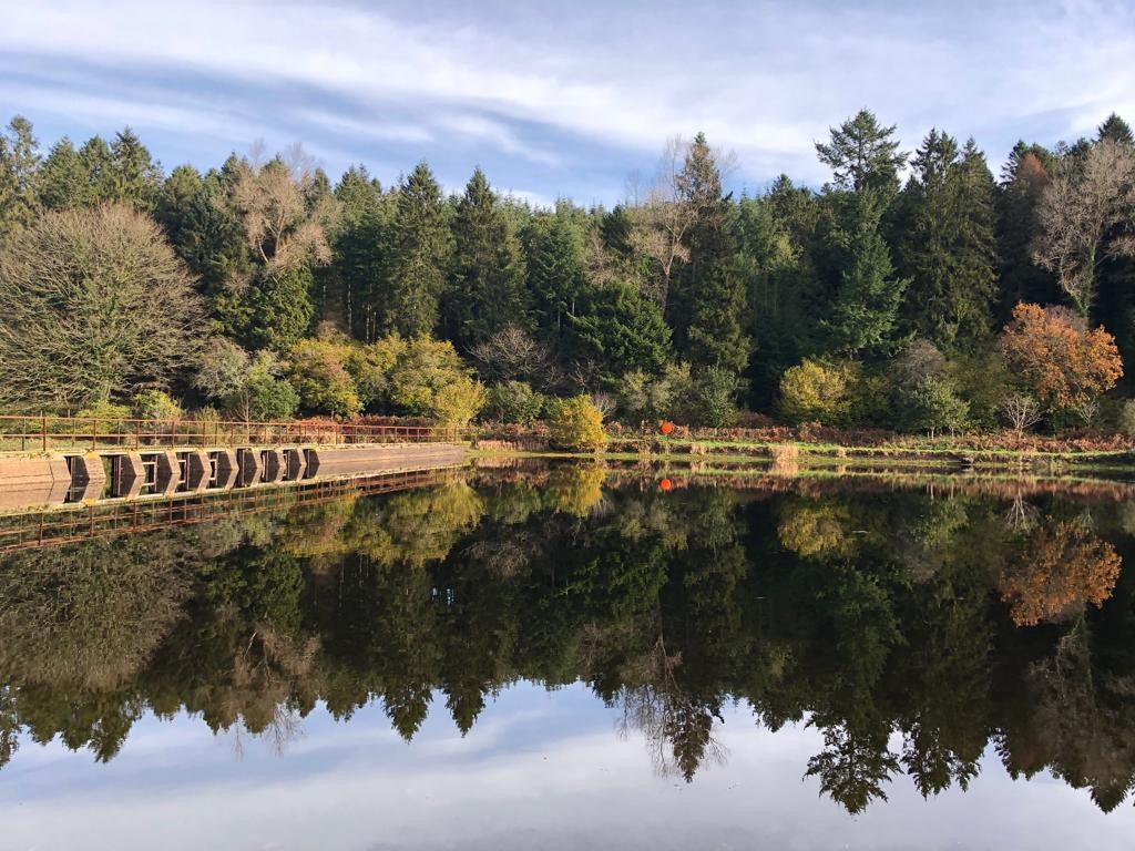 Fly Fishing in the South West