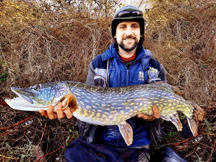 How to catch more pike on the fly: 6 Top Tips