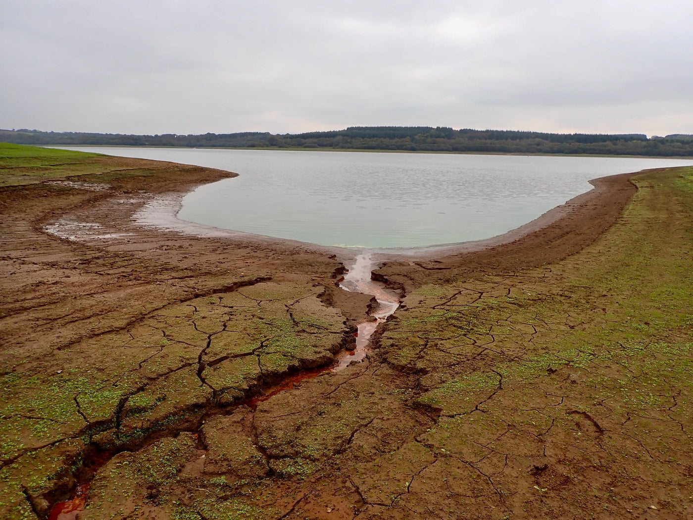 SWLT Brown Trout Master Final with Turrall