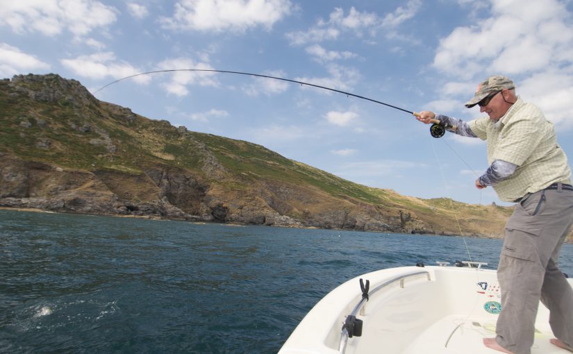 Late Season Bass Fishing Tips, with Chris Ogborne