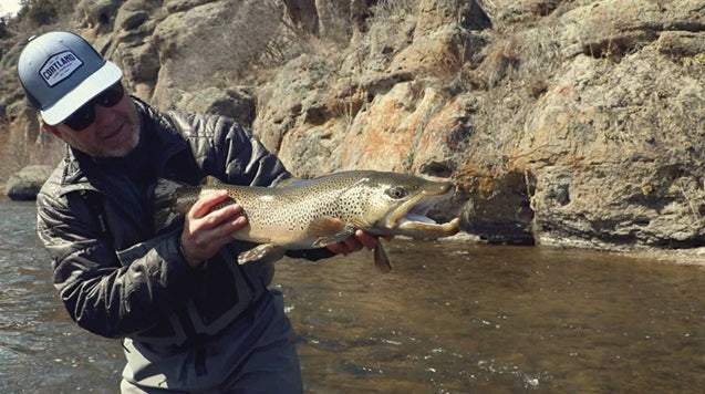 CORTLAND - Lines - New Season Must Haves 2026