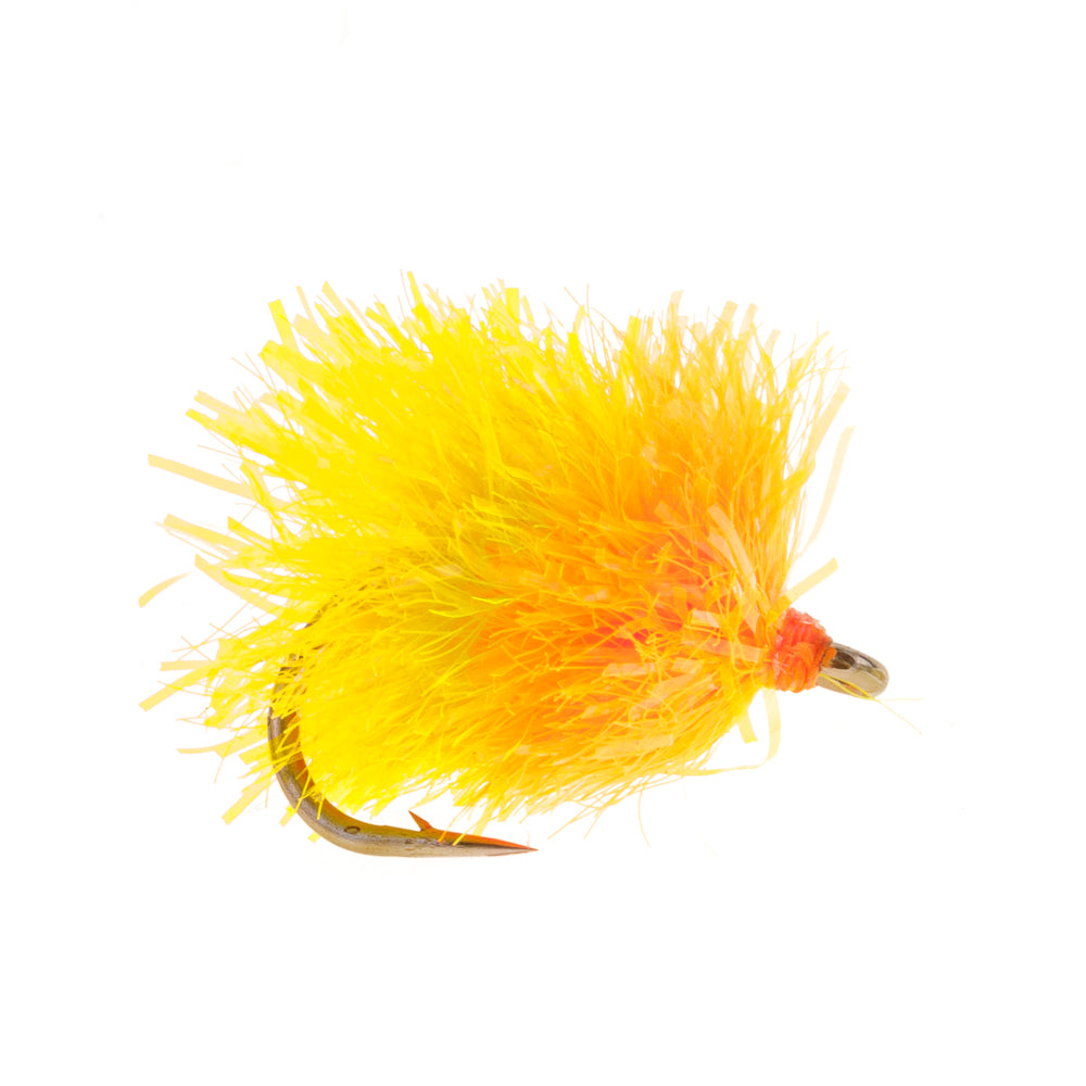TEQUILA SUNRISE BLOB