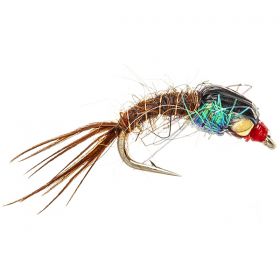 BUBBLEBACK EMERGER BWO