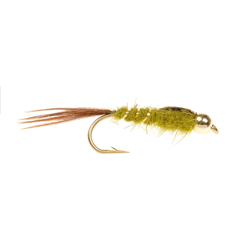 HARE’S EAR - Olive