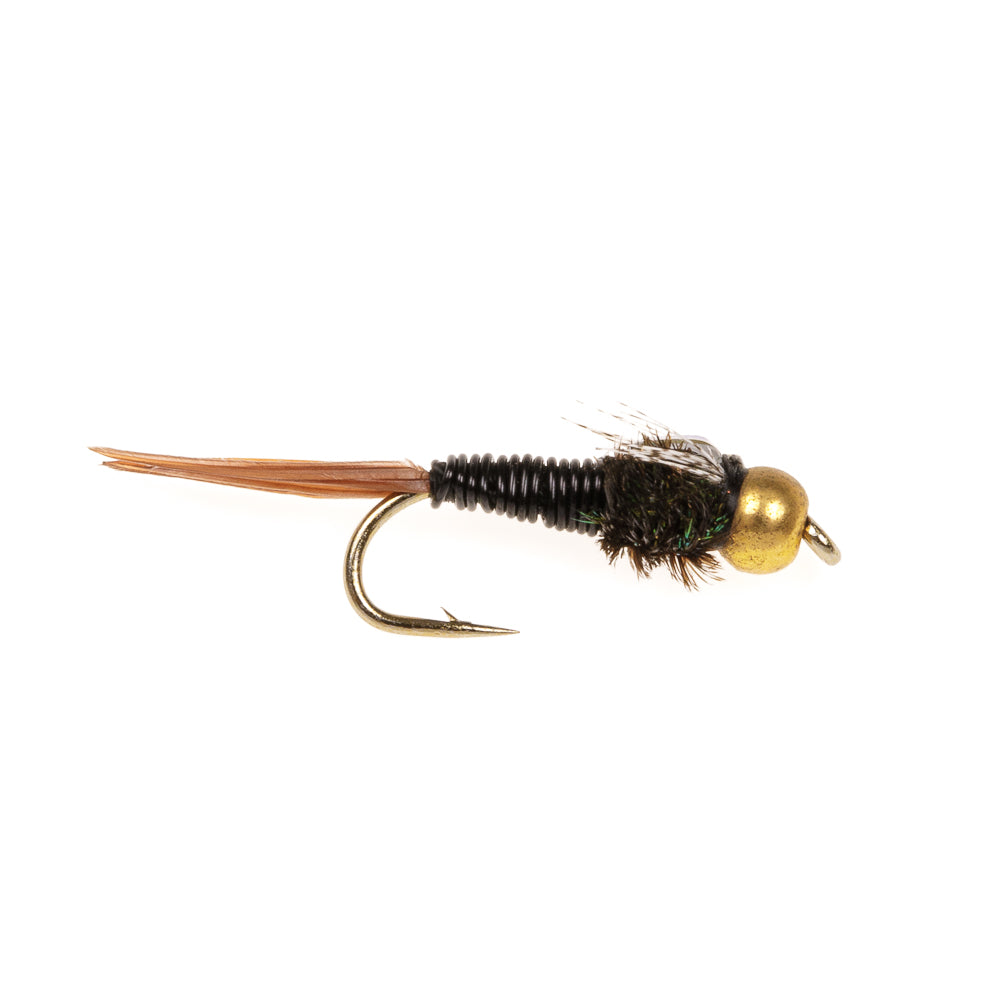 COPPER JOHN BLACK
