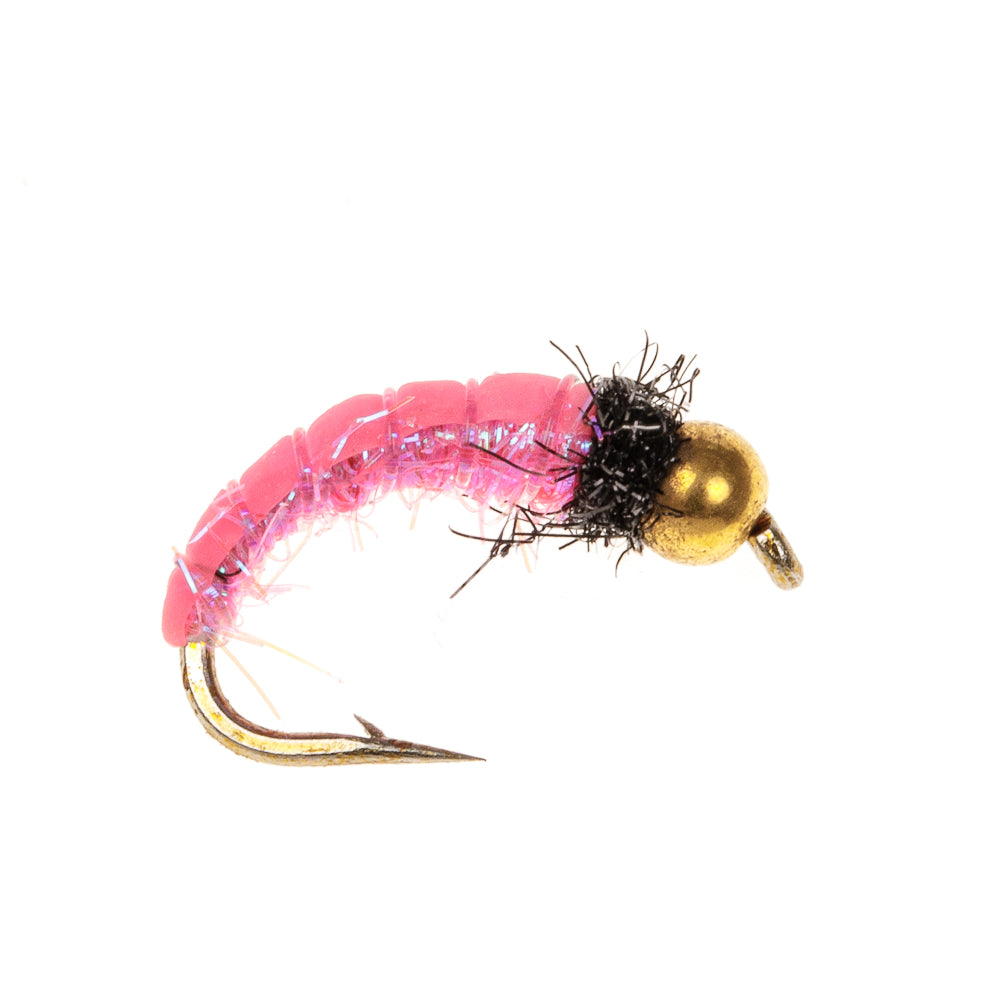 PINK FLASH SHRIMP GRUB BH