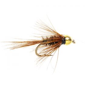 DIAWL BACH GOLD BH