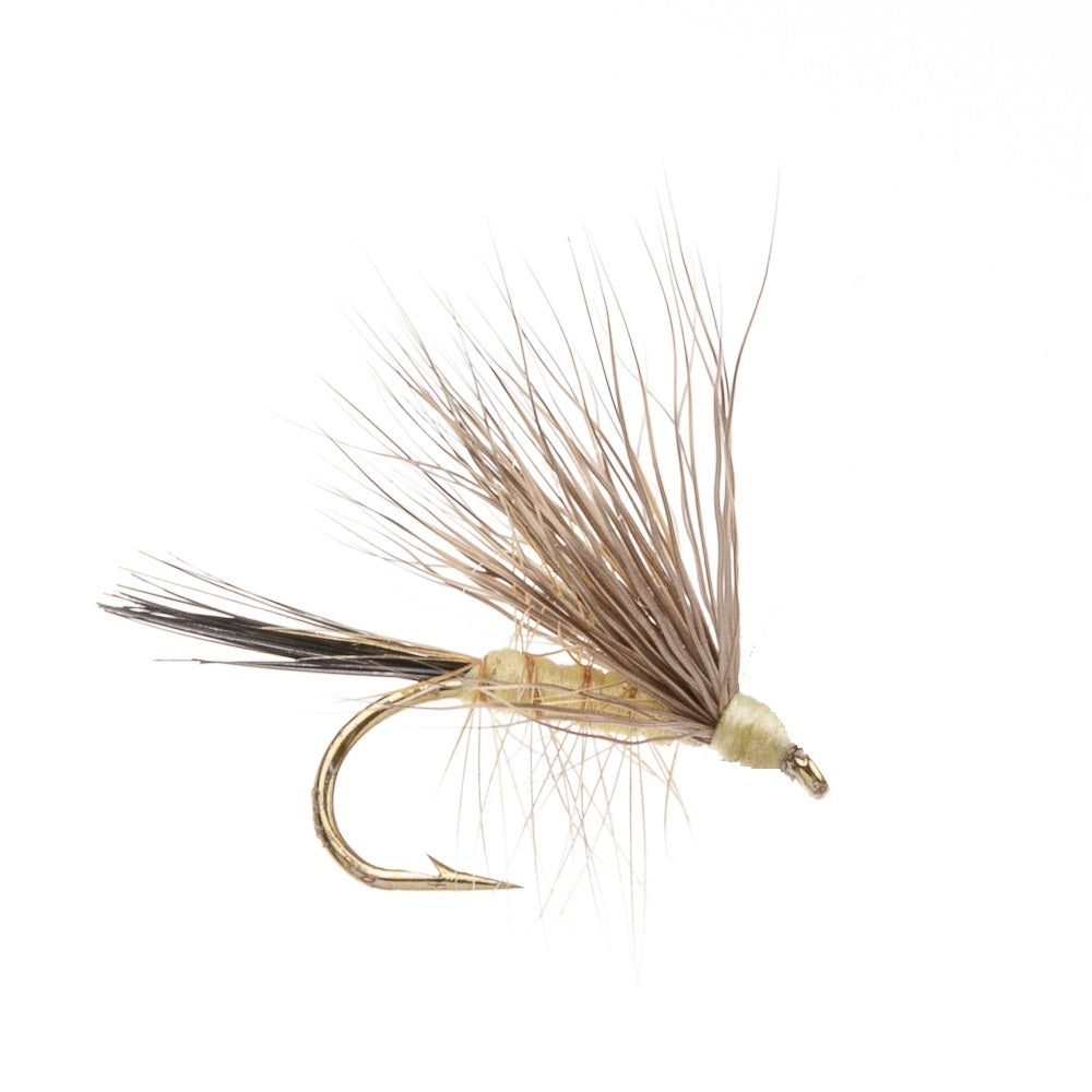 BUCK CADDIS Light