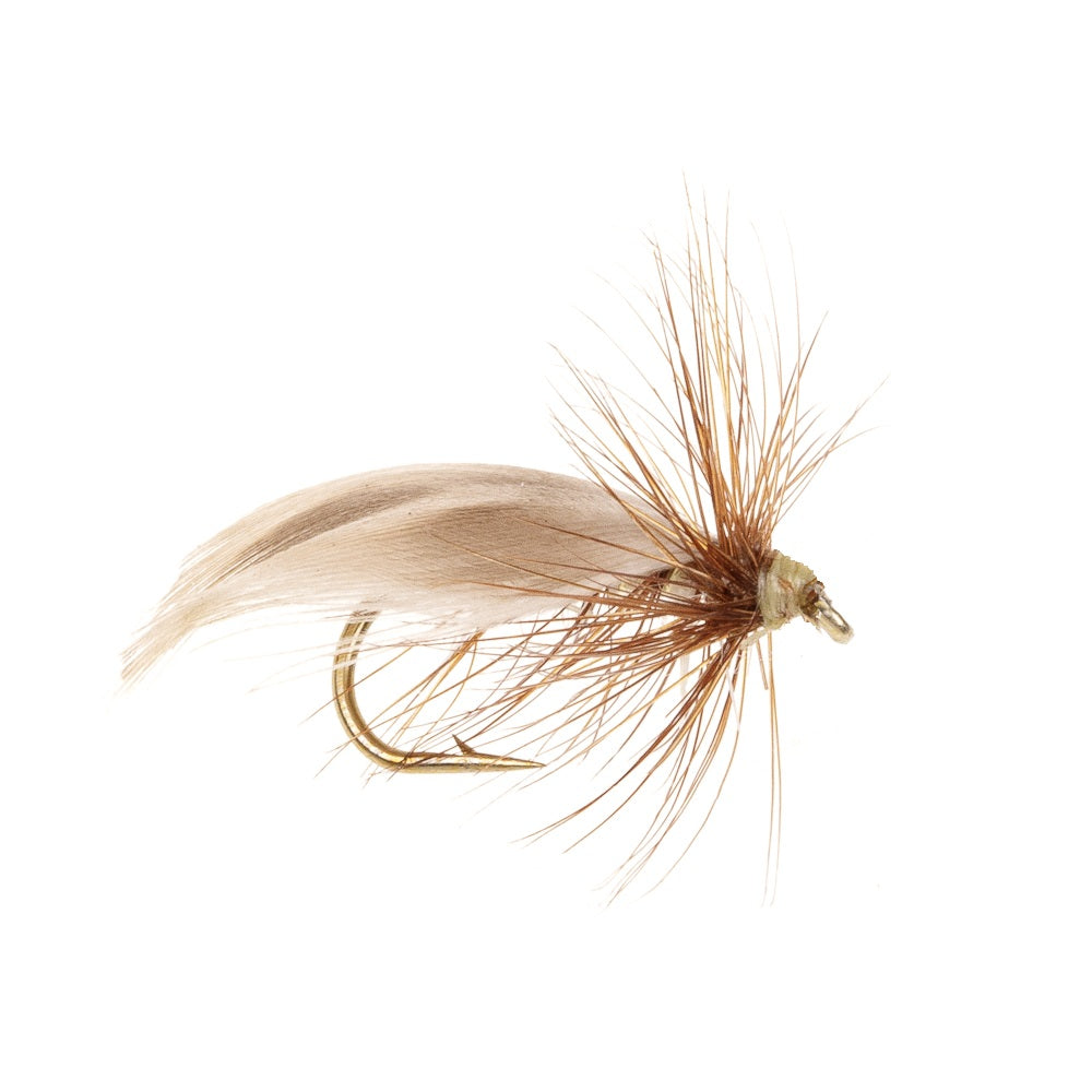 EUROPE SEDGE