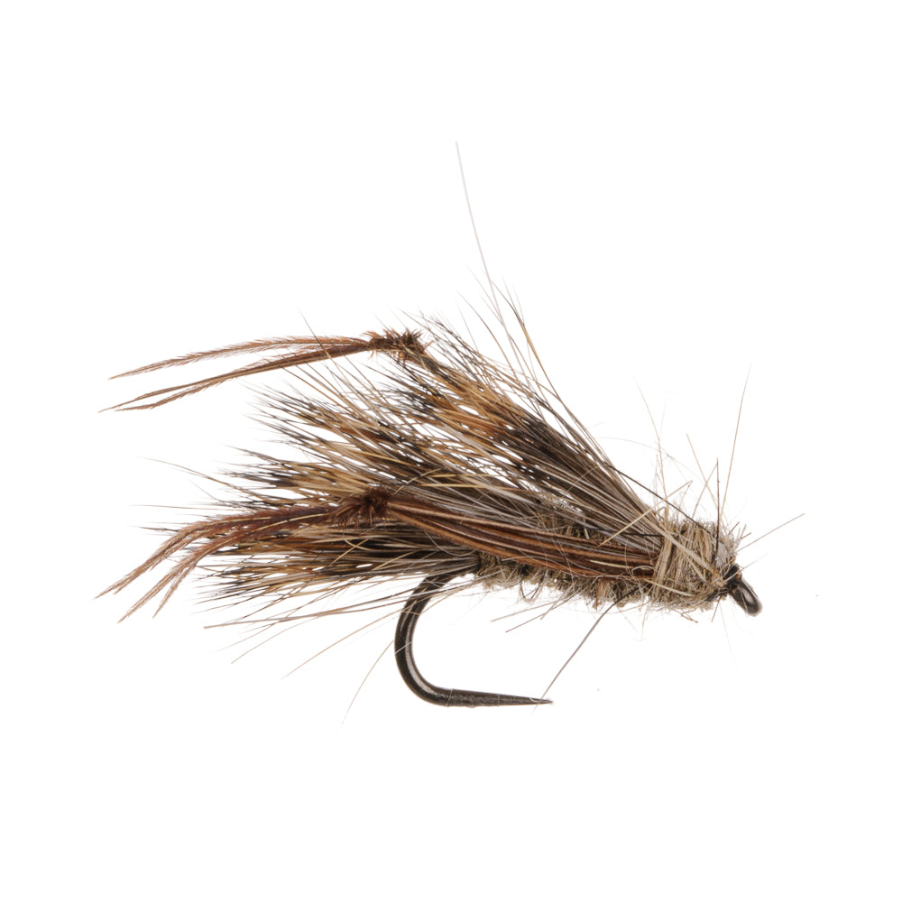 SEDGEHOG HARE'S EAR BARBLESS