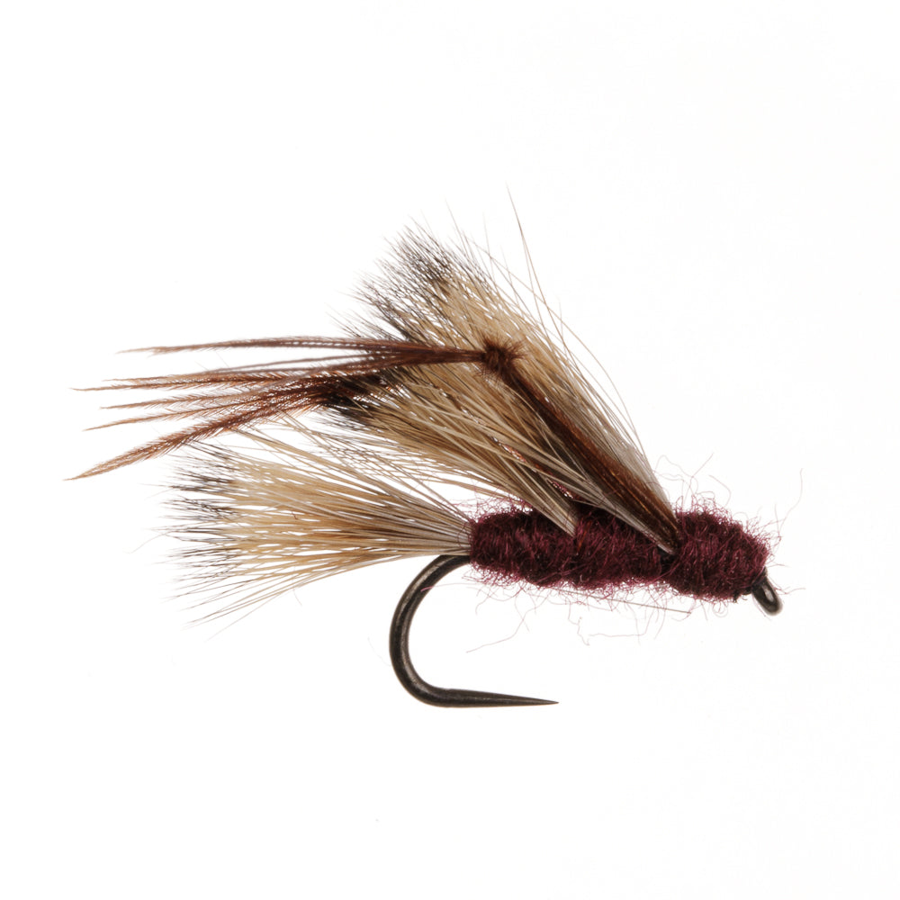 SEDGEHOG CLARET BABRLESS
