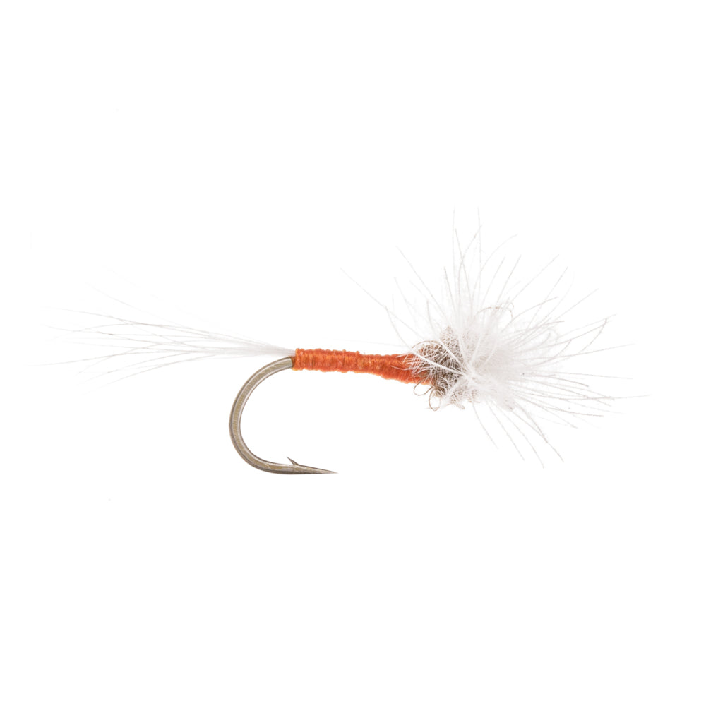 SPINNER CDC SHERRY