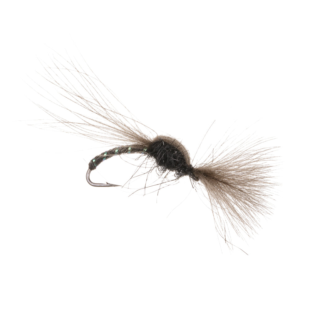 SHUTTLECOCK CDC BLACK