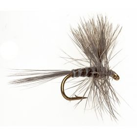 CDC THORAX PEACOCK GREY