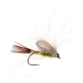CDC EMERGER OLIVE