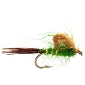 CDC EMERGER GREEN