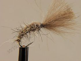 CDC SHUTTLECOCK HARES EAR