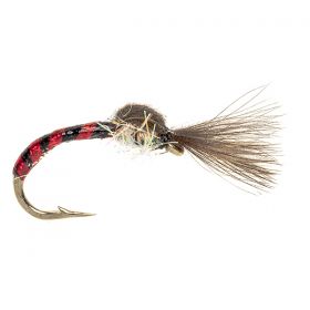 CDC SHUTTLECOCK BLACK & HOLO RED