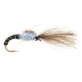 CDC SHUTTLECOCK UV FLASHBACK BLACK