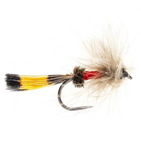 CDC ROYAL COACHMAN BARBLESS
