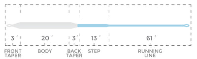 COMPACT INTERMEDIATE