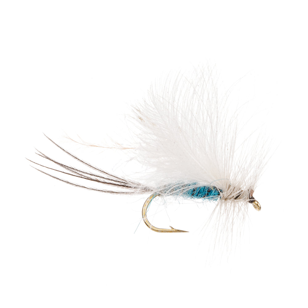 DAMSEL FLY - BLUE