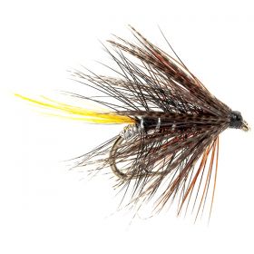 KATE MACLAREN DABBLER