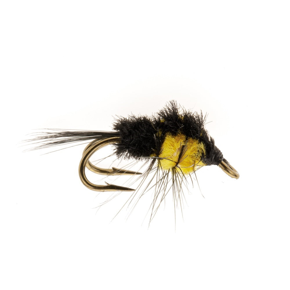 MONTANA YELLOW DOUBLE