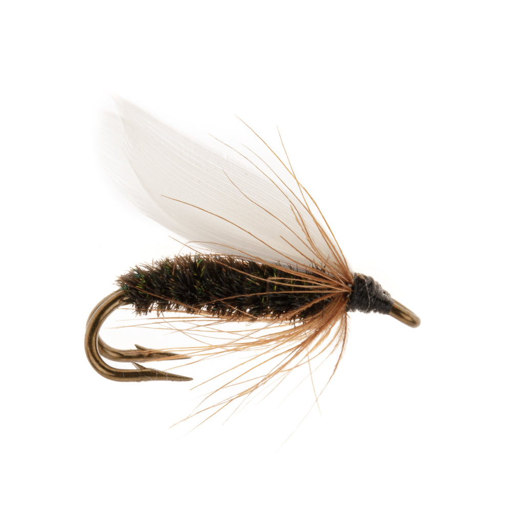 COACHMAN DOUBLE