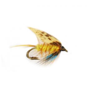 INVICTA DOUBLE TROUT
