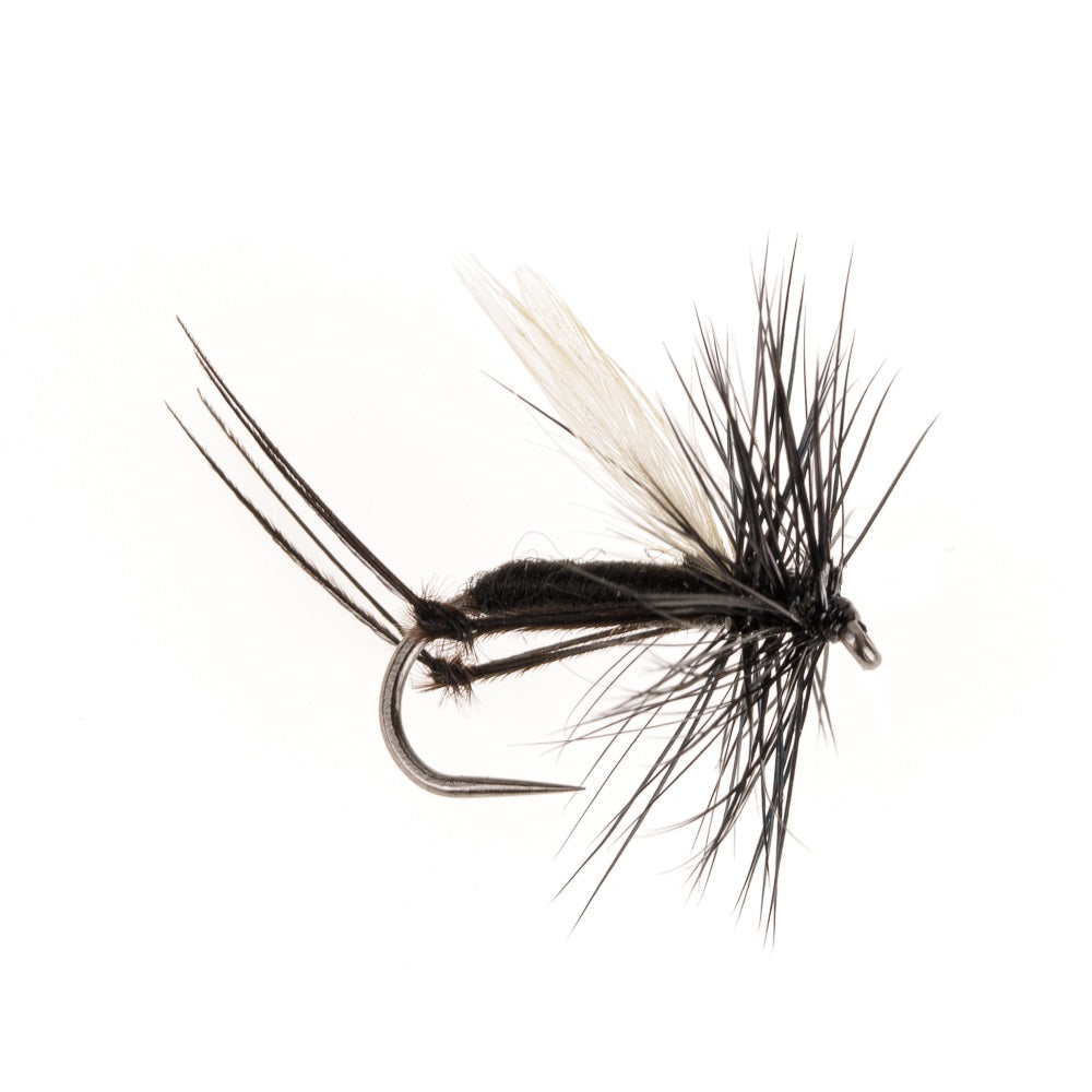 HAWTHORNE BARBLESS