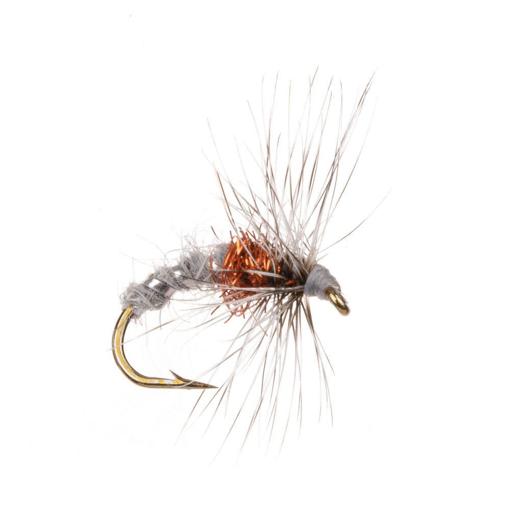 RUDD BUG ORANGE