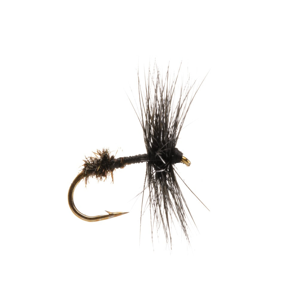 BLACK ANT DRY HACKLED