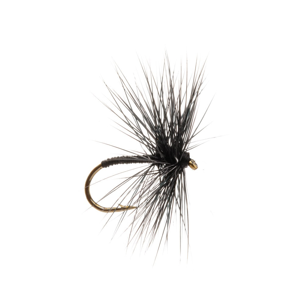 BLACK SPIDER DRY HACKLED