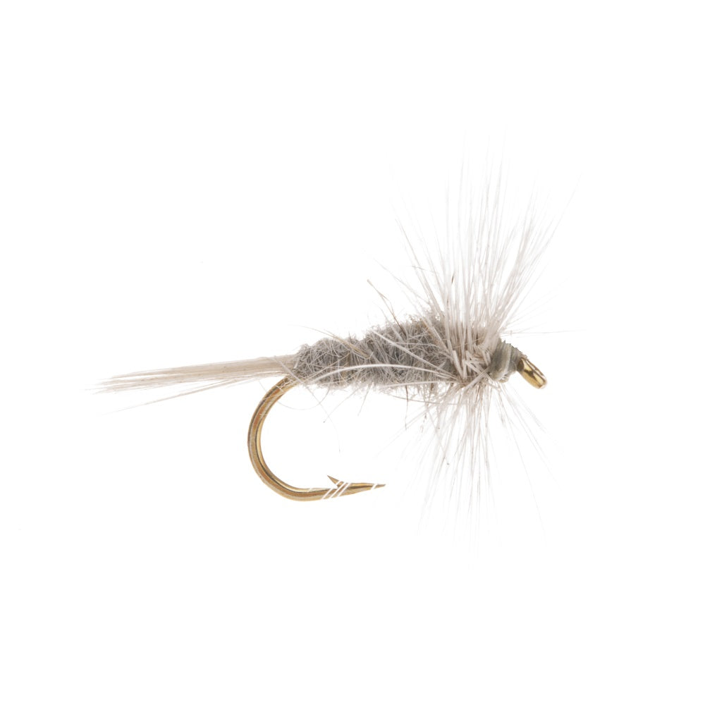 BLUE DUN MIDGE
