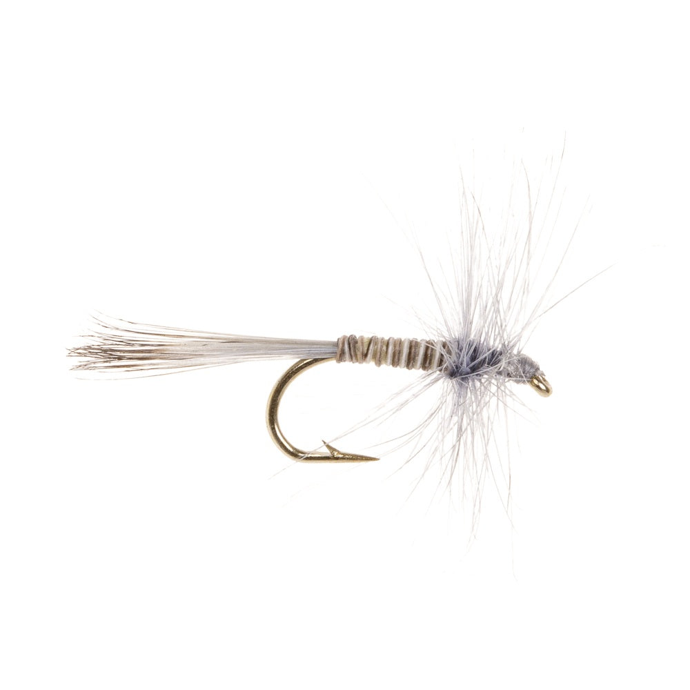 BLUE QUILL DRY HACKLED