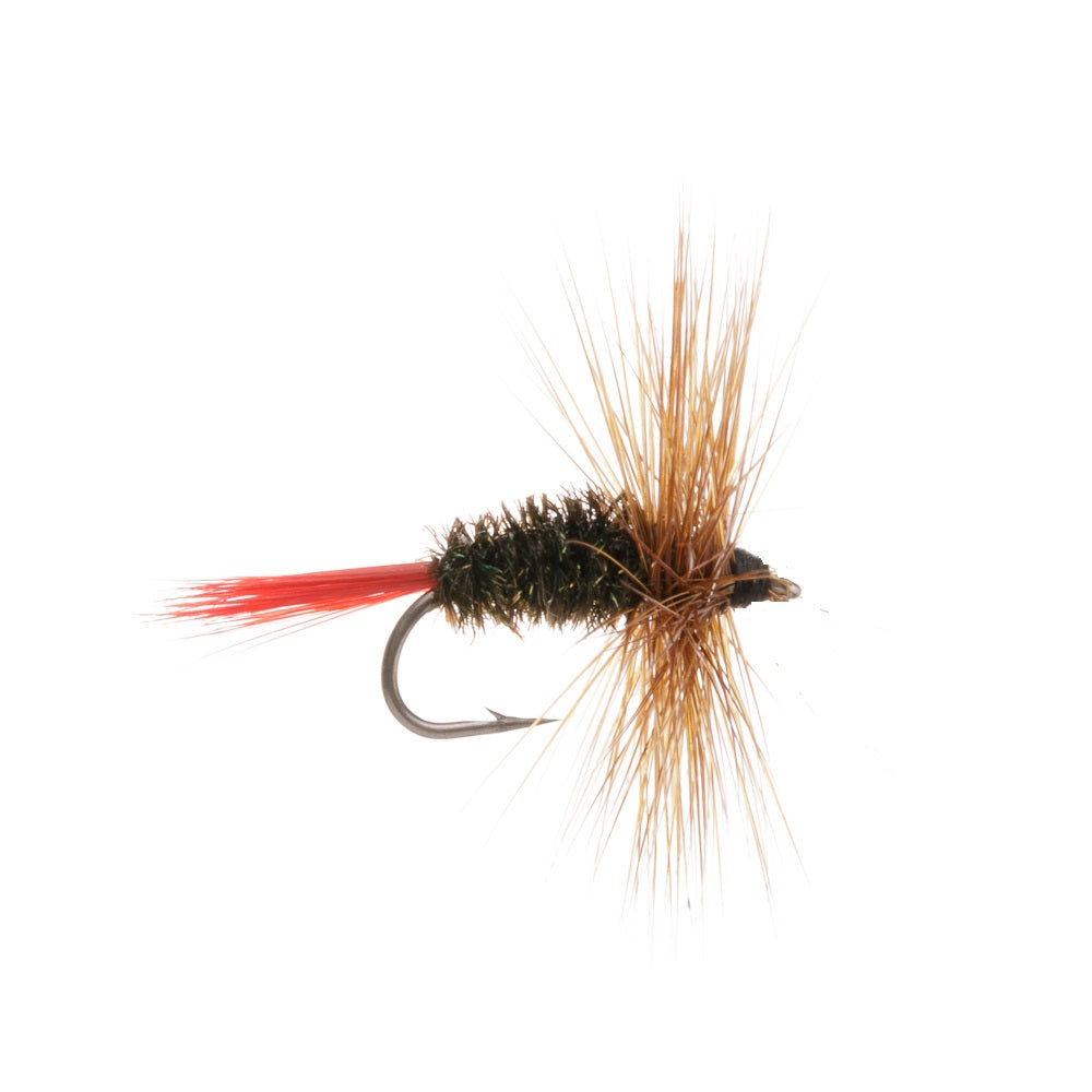 BROWN HACKLE PEACOCK DRY HACKLED