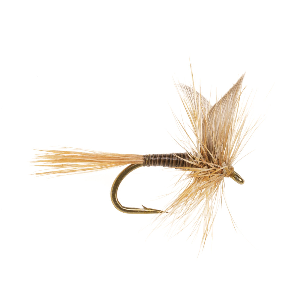 GINGER QUILL DRY HACKLED