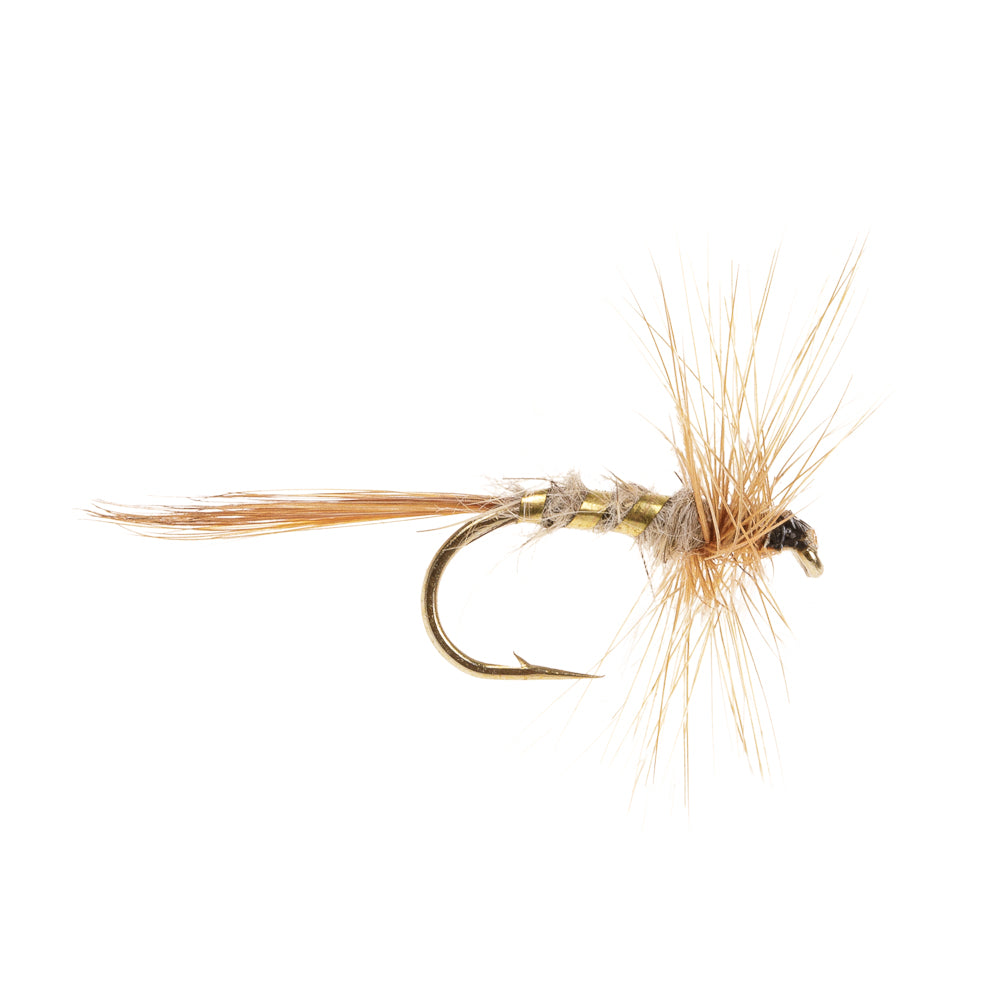 MARCH BROWN
