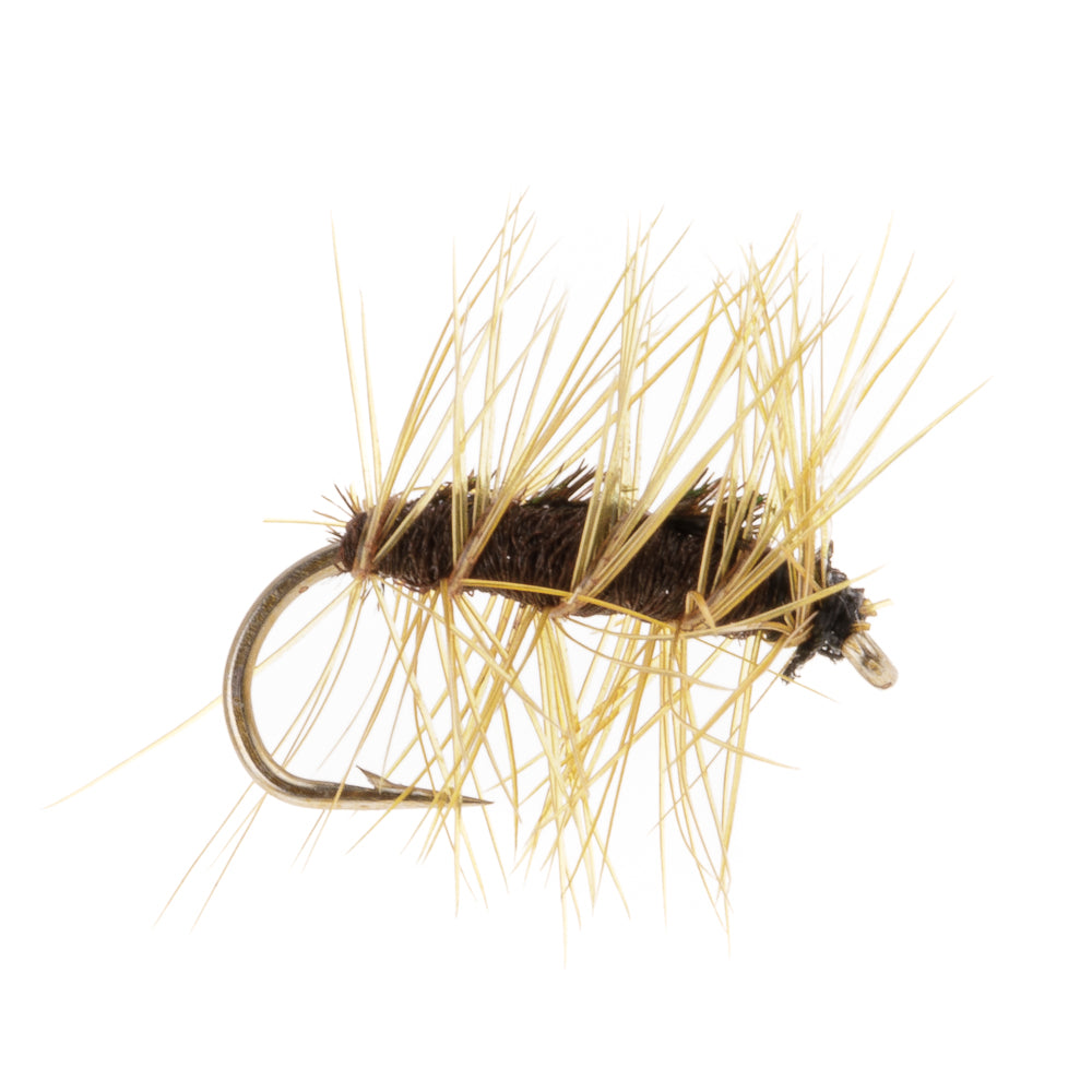 CRACKLEBACK BROWN