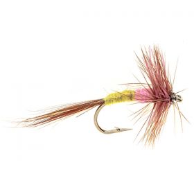 PINK TUP'S INDISPENSABLE