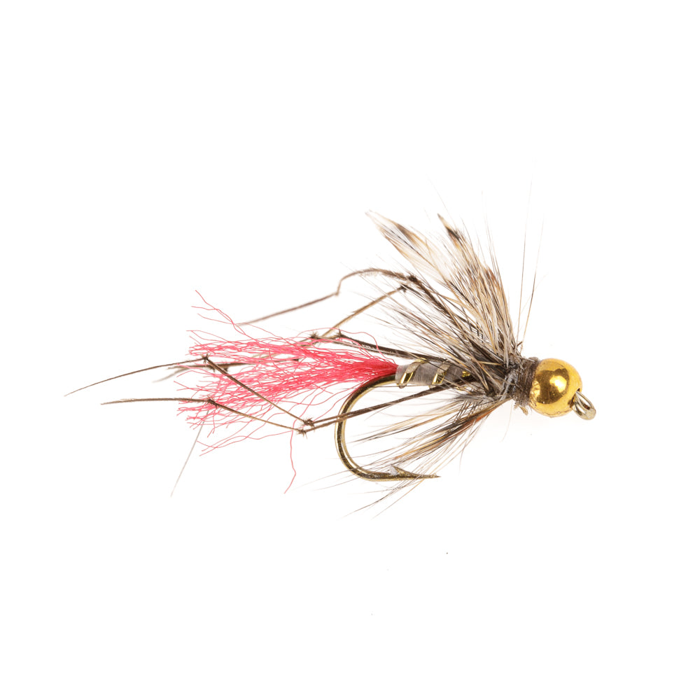 GOLD HEAD RED TAG DADDY